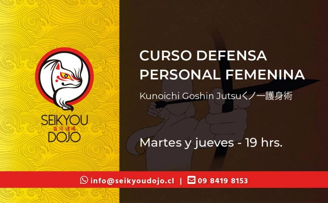DEFENSA PERSONAL FEMENINA 12 La Motivación de por qué diseñé un curso para Mujeres